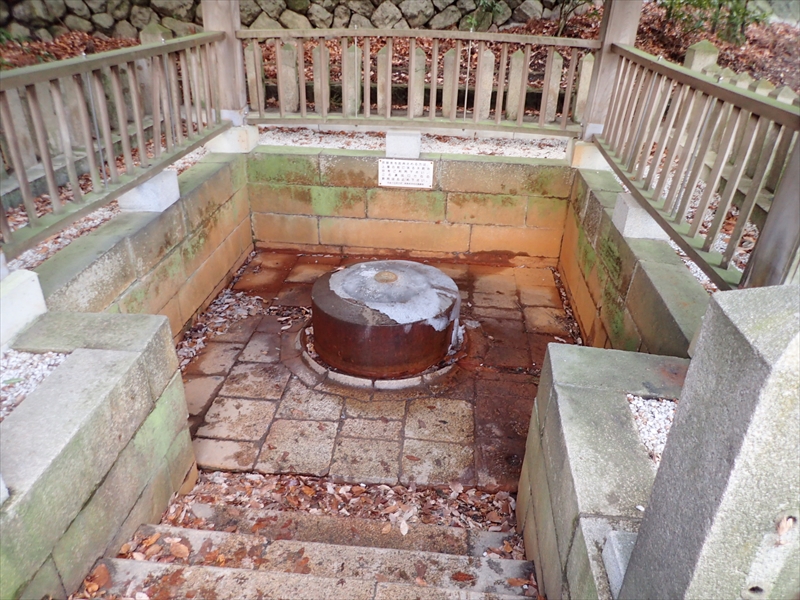 Source of carbonated spring source park