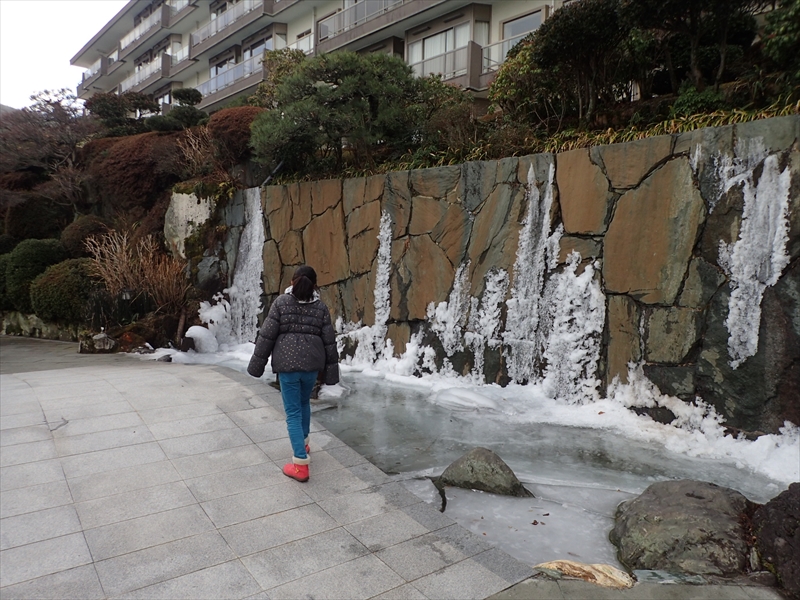 Ice on the hotel's Stone Wall