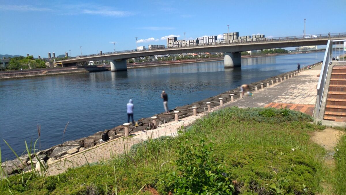 適度な間隔で釣りをしています