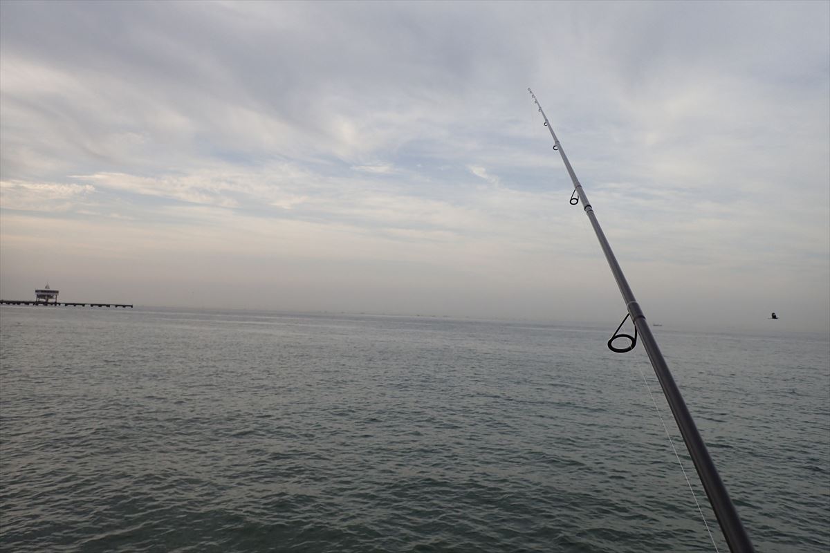 須磨海釣り公園が見えるよ