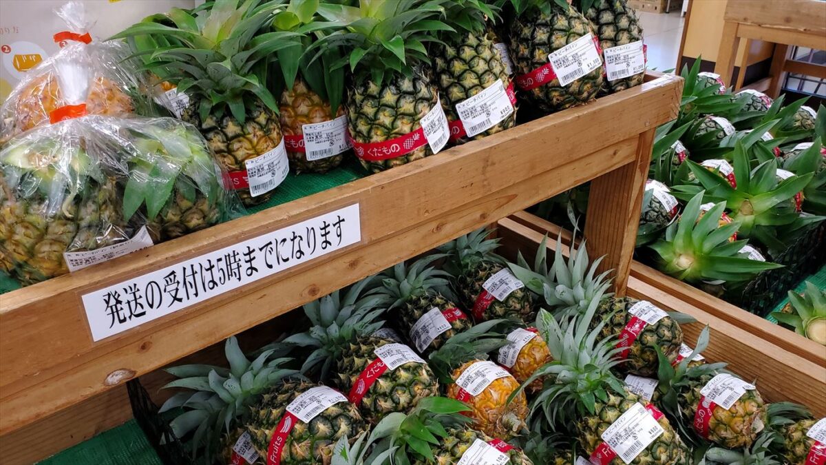 掘り出し品のパイナップルもある