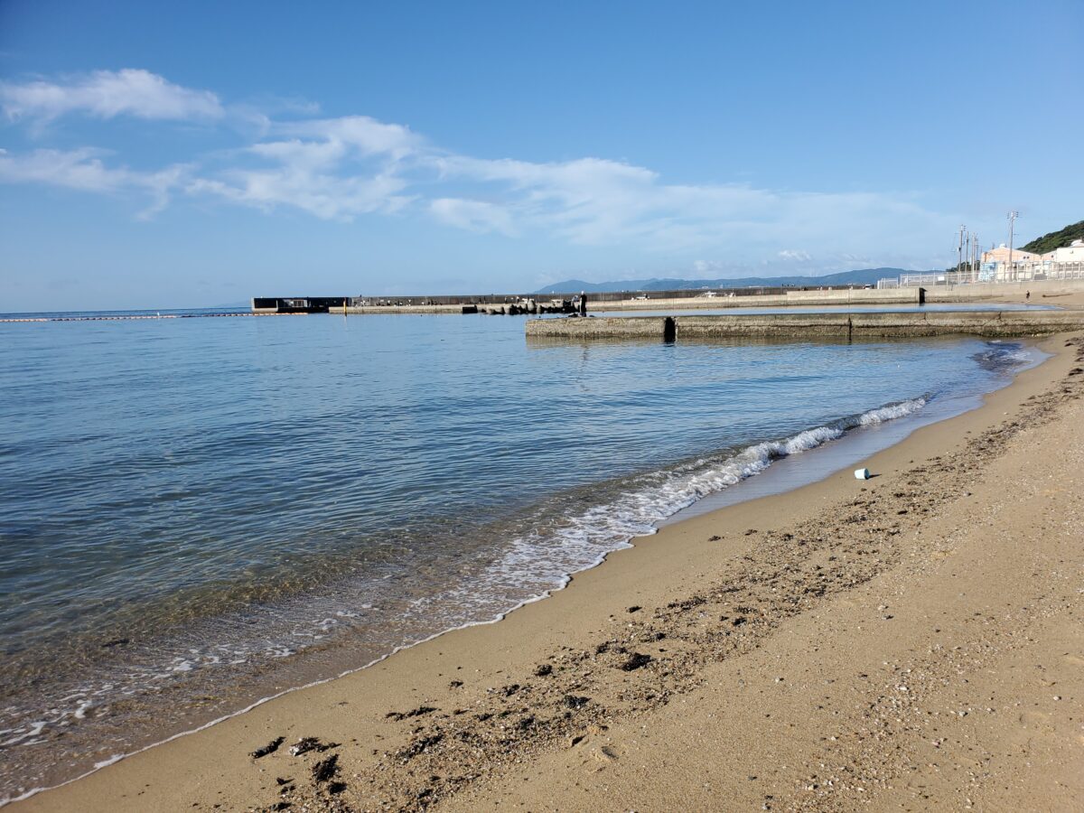 浜には小さい貝が打ち上げられていました