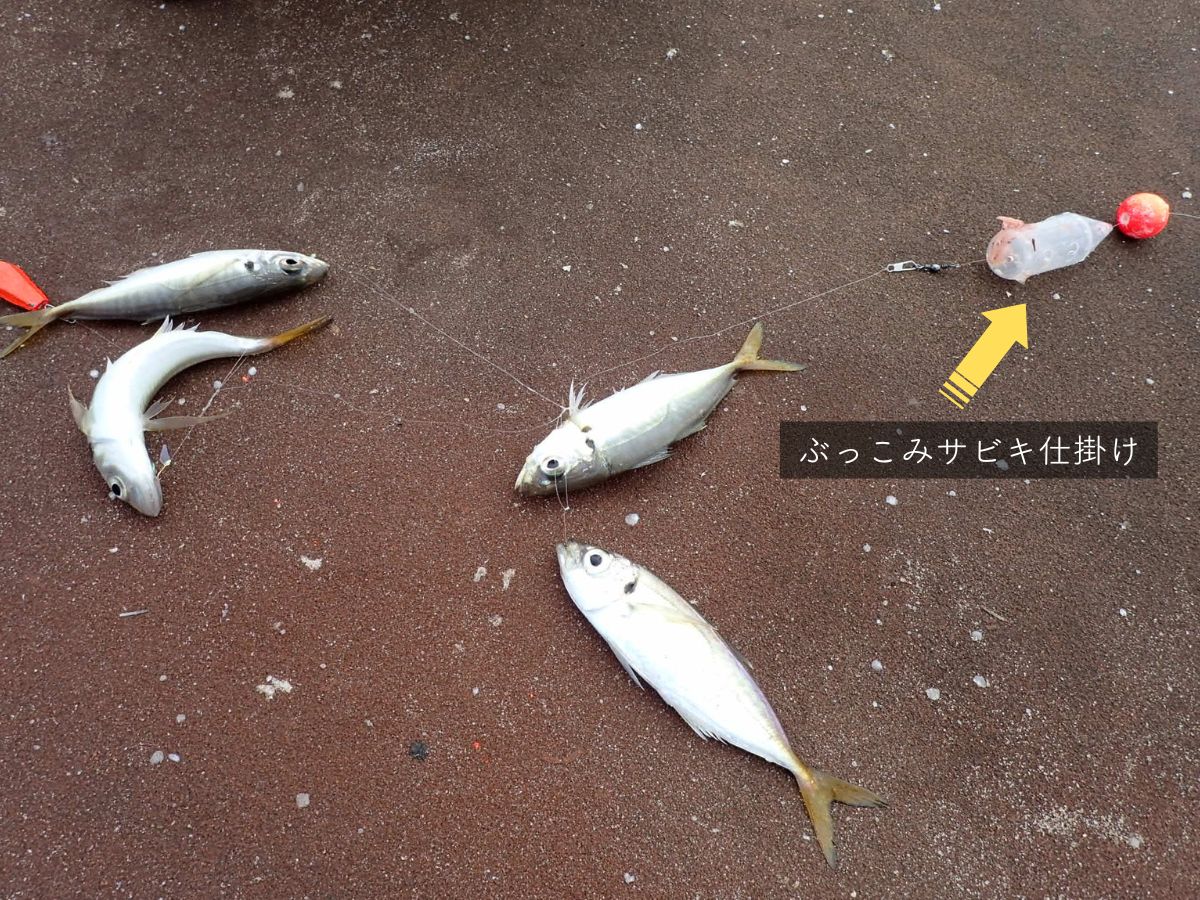 ぶっこみサビキは良く釣れる