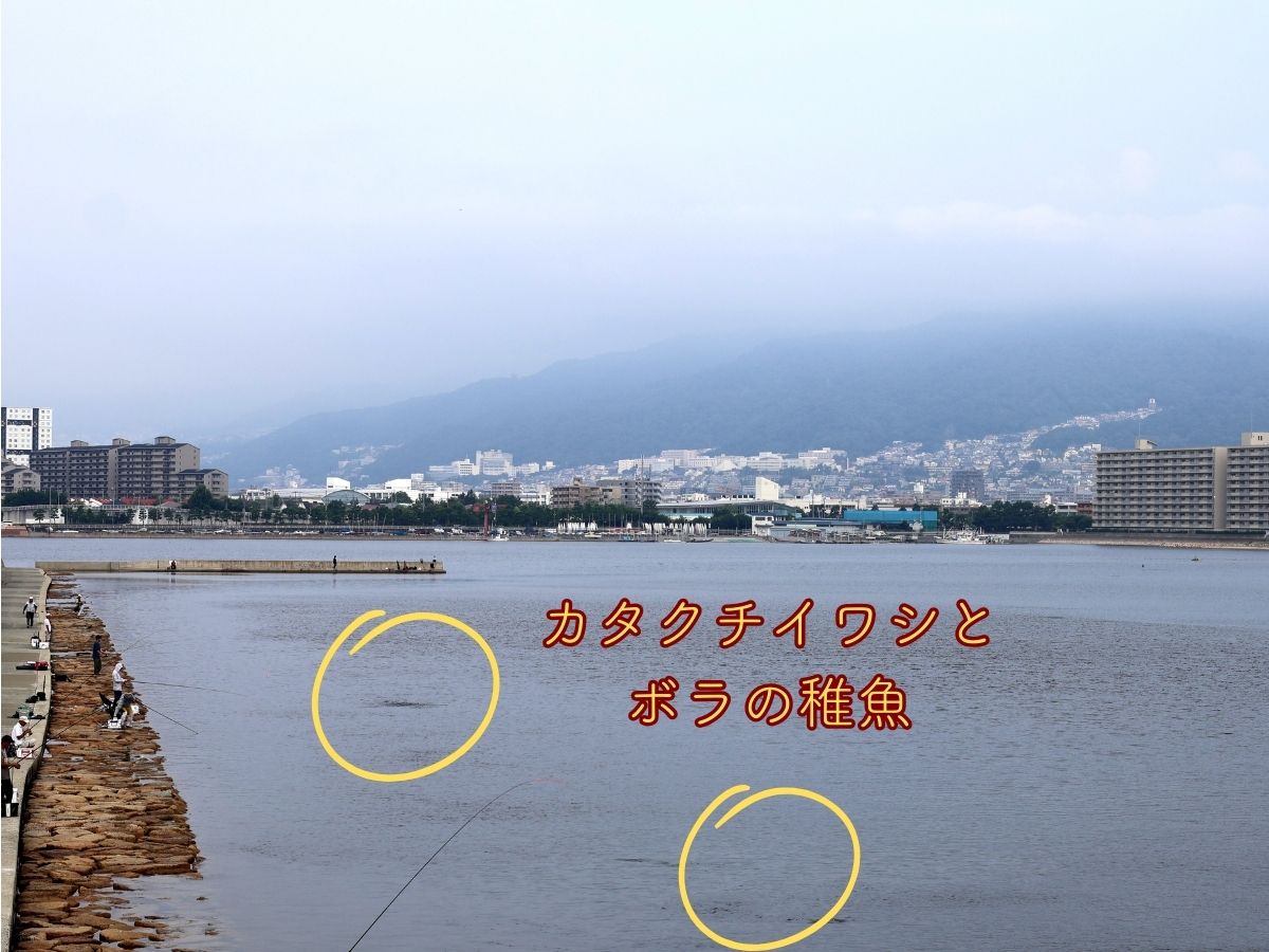跳ね橋から撮影