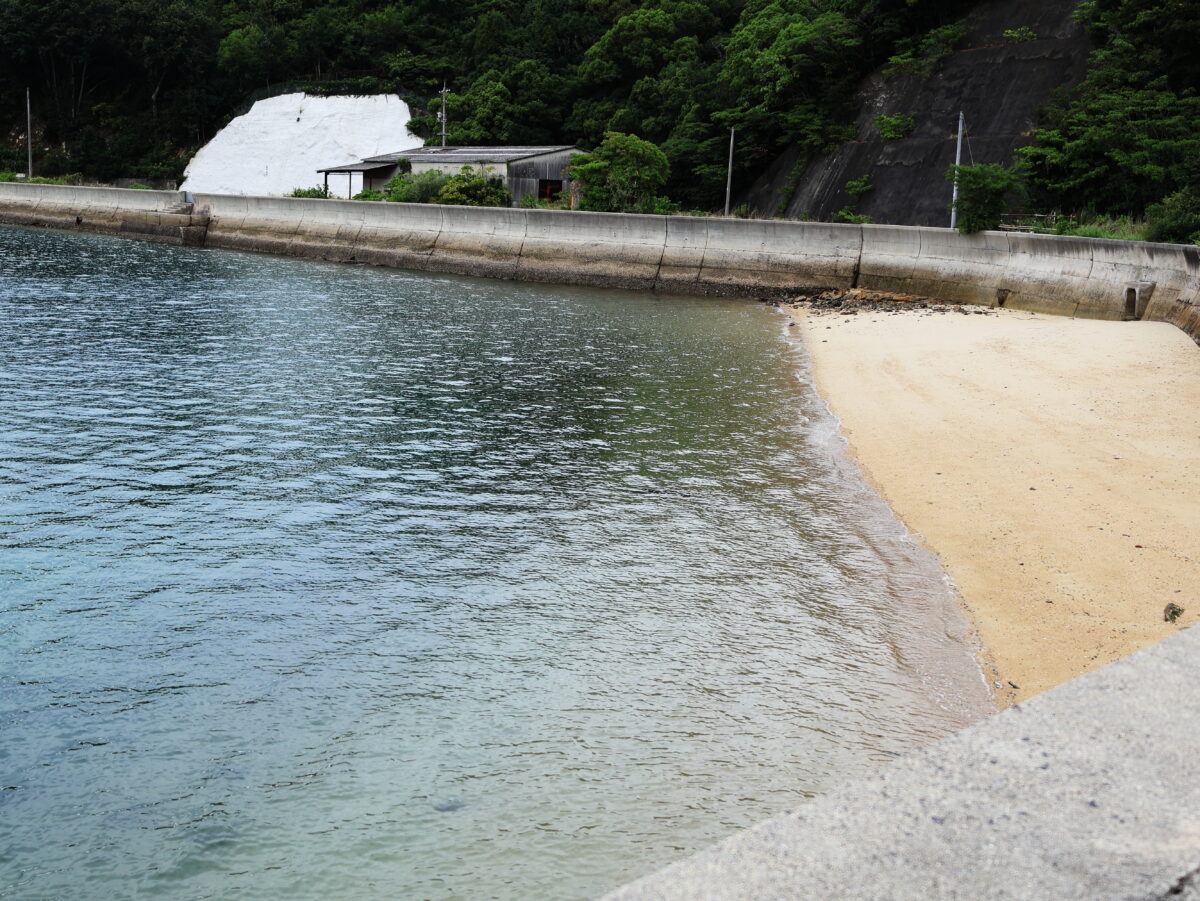 魚が泳いでいるのが見えるよ