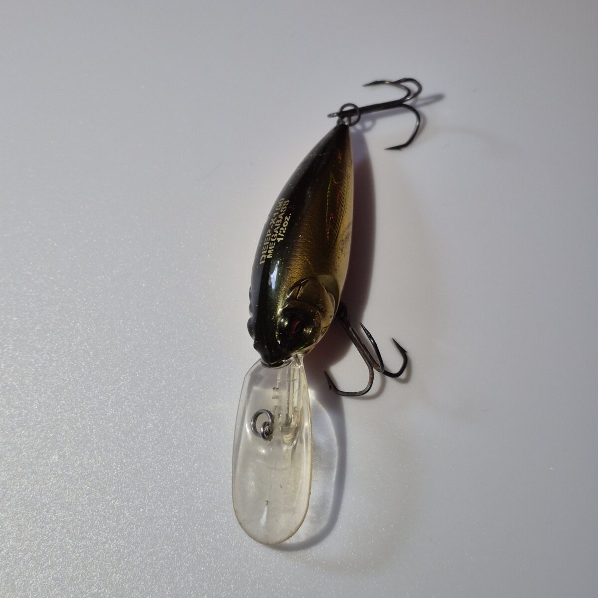 スマホで撮影、バックはPPシート