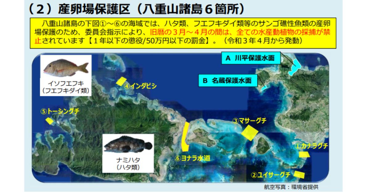 引用：沖縄県農林水産部