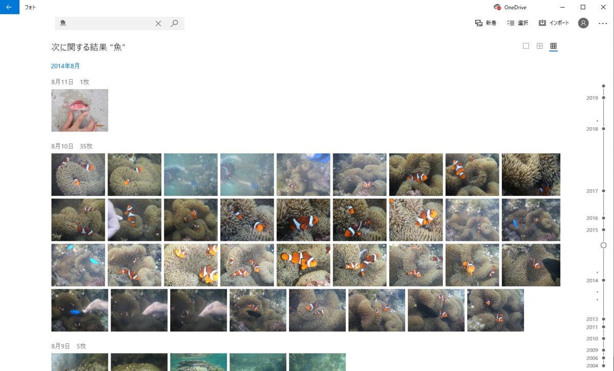Windowsフォトは自分のパソコンの中も検索できる。石垣島の海中写真です。