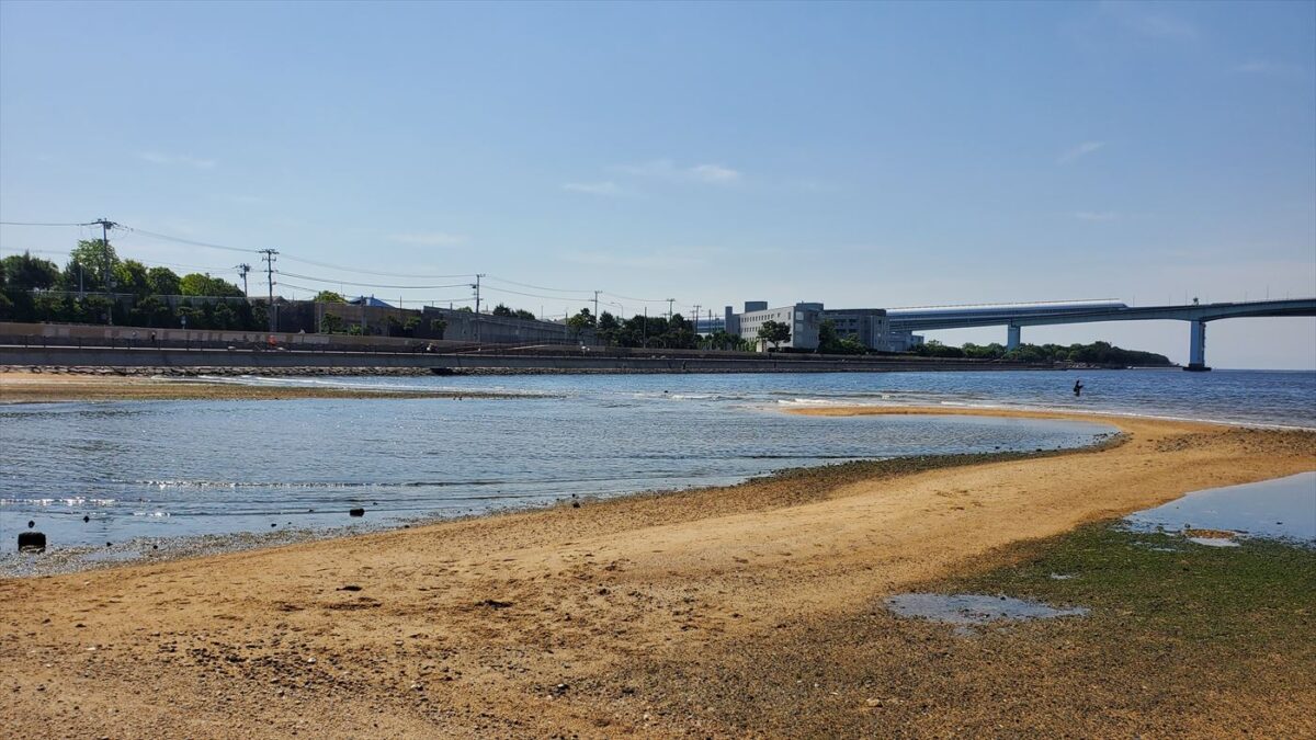 潮が引くと砂地が現れる芦屋川河口